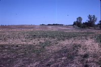Larry Braby's Farm Before and After a Wetland Construction Project.