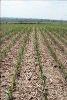 Conservation progress on Jim Fassler's farm.