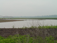 2007 Jack Strawkhacker photos of flooded fields