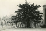 Penn Campus