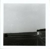 Strip cropping