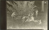 Outdoor theater production of Midsummer night's dream, The University of Iowa, May 14, 1925