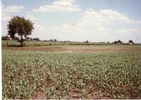 1996 Terraces built by Marvin Lange