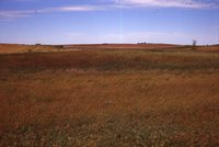Wetland on the Sawyer Farm.
