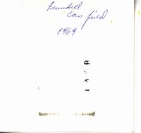 Frundell cornfield, 1969