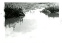 M. Nichols Jr. Structure Flooded, 1965