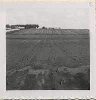 Flood Damage - 1961.