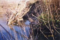 1998 Yeager site snag on Flint River