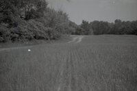 1995 Fields with tire tracks 