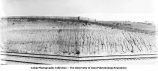 Chicago, Milwaukee and St. Paul Railroad cut, Rhodes, Iowa, July 01, 1914