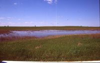 Waterway Construction on the Moeller Farm.