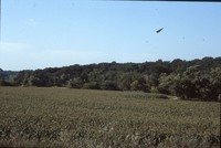 Wildlife plantings on the farm of Bud and Dorothy Stiles.