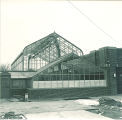 Botany greenhouse, The University of Iowa, March 13, 1950