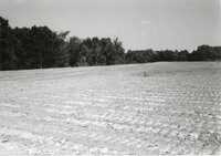 1995 Terraces Being Built on Dale Edmonds Farm