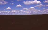 Larry Braby's Farm Before and After a Wetland Construction Project.