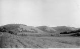 Bluffs in driftless area showing characteristic distribution of timber sharply limited to northern and northeastern slopes, Iowa, late 1890s or early 1900s