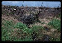 Flood Damage.