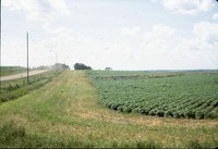 Gary Otto farm.