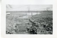 Photograph Collection Of Cropland  