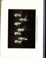 1914 Yearbook