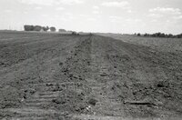 1970s Earthmoving machinery in field