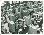 Dental clinic hygienists, The University of Iowa, 1950s