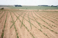 State Conservation Award given to Larry Knaack's farm property.  