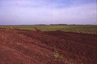 Waterway Construction on the Newton Farm.