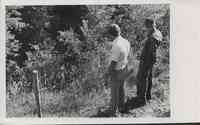 Two men stand behind fence looking down into revine of trees in Plymouth County, Iowa