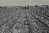 No-till farmers hold a meeting in a field