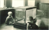 Children looking in a large fish tank, The University of Iowa, 1920s