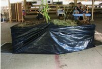 2010  Fair Both Display Table With Plants 