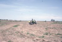 Photograph Collection Of Mrs. Lionel Evans Farm 