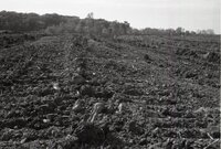 Drainage pipes in ground 