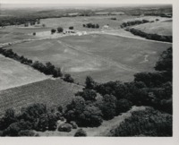 Strip cropping with a grassed waterway on the Durey farm.