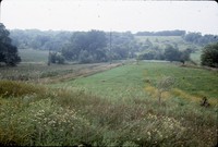 Wildlife area on the farm of Bud and Dorothy Stiles.