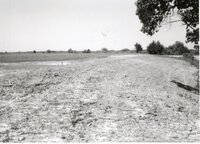 1995  Proposed Terracing Project site on Dale Edmonds' farm
