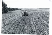 Matthew Mander farm, 1962