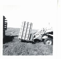 Ward Patterson's farm