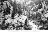 Mountain view in Jim Creek canyon, Jamestown, Colo., late 1890s or early 1900s