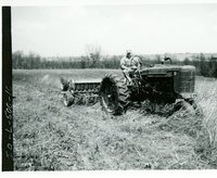 Native grass, 1972