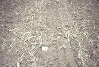 Dry cropland, 1988