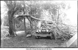 Dean G. F. Kay's car, after wind storm, Tourist Park, Chariton, Lucas County, Iowa, June 27, 1924