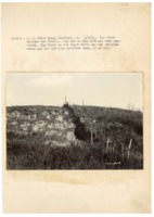 1937 - Fence divides two fields - pasture on left and ground cover on right