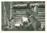 Prof. C. J. Albrecht displays some whistling marmots at expedition camp in Washington state, The University of Iowa, 1920