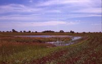 Larry Braby's Farm Before and After a Wetland Construction Project.