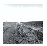 Ward Patterson farmland
