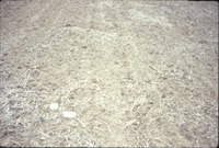 Dry cropland, 1988