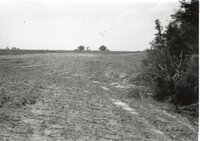 1995  Proposed Terracing Project site on Dale Edmonds' farm