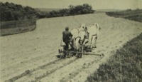 Till the Field 